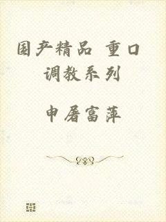 国产精品 重口 调教系列